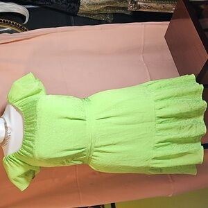 DKNY sGREEN A-line dress with removable sash zip back washable lined.